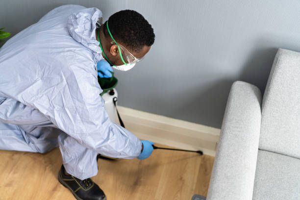 Reliable Gumlog, GA Pest Control Solutions